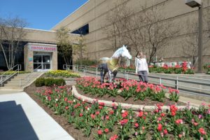 2018 Kentucky trip – part 2, touring a Toyota plant