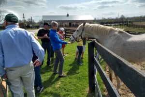 2018 Kentucky trip – part 3, retirement home for horses