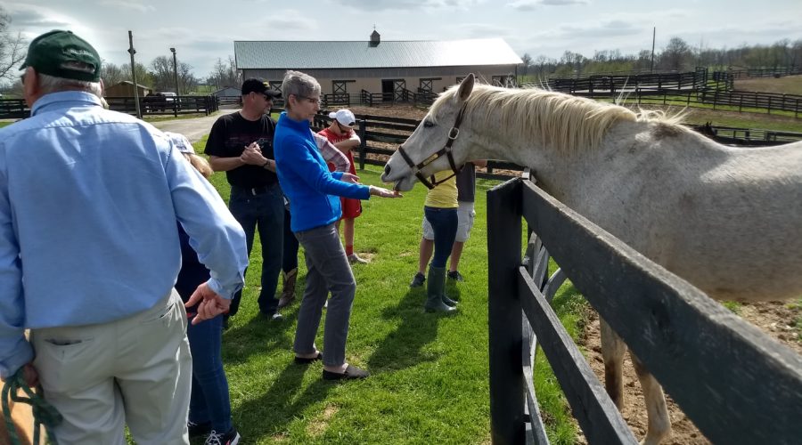 2018 Kentucky trip – part 3, retirement home for horses