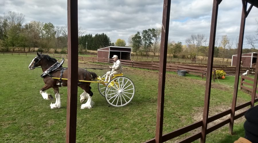 2018 Wisconsin – part 8, Fond du Lac: Larsons Clydesdales