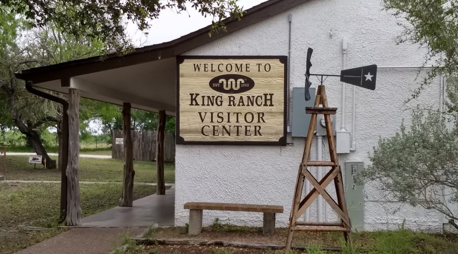 2019 gulf coast – part 24, Corpus Christi: King Ranch