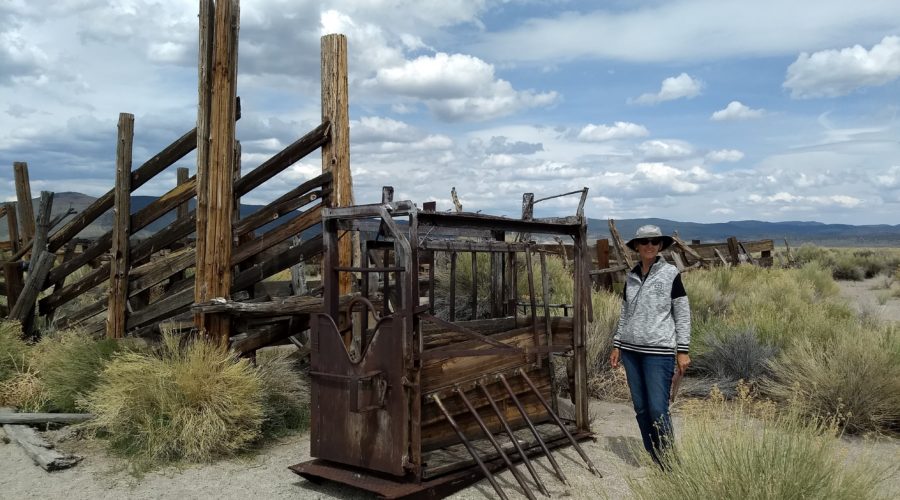 2019 other side – part 23, back road drive: a lumber mill, wild horses, and a stone corral