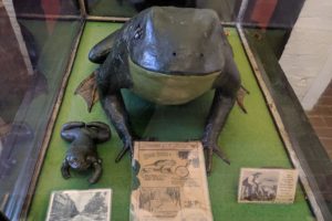 2019 New Brunswick – part 3, Fredericton: social, political, medical, and military history – and a famous frog