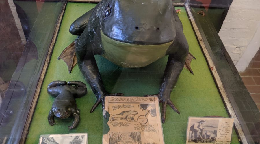 2019 New Brunswick – part 3, Fredericton: social, political, medical, and military history – and a famous frog