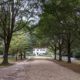 2019 sauntering home – part 6, Virginia: the story behind restoring Colonial Williamsburg