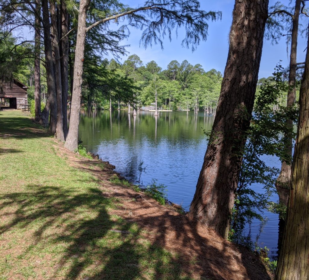 2020 Georgia - part 4: George L. Smith State Park in south central ...