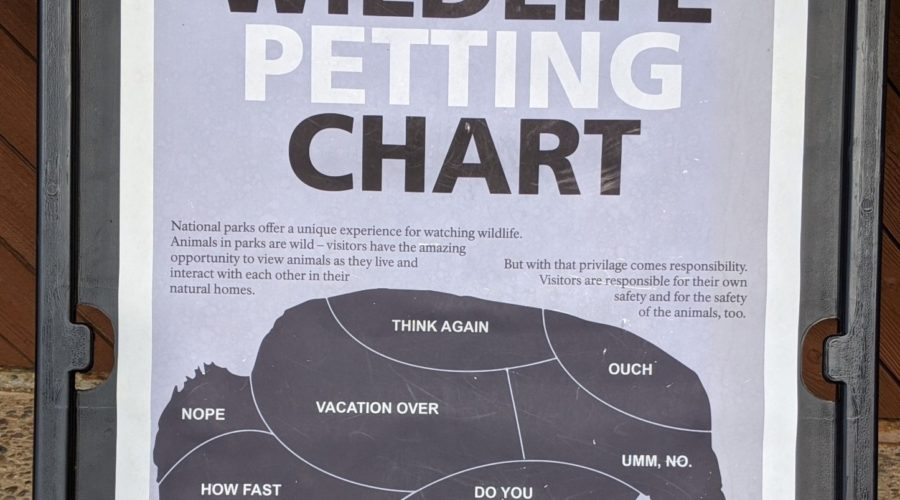 bison petting chart