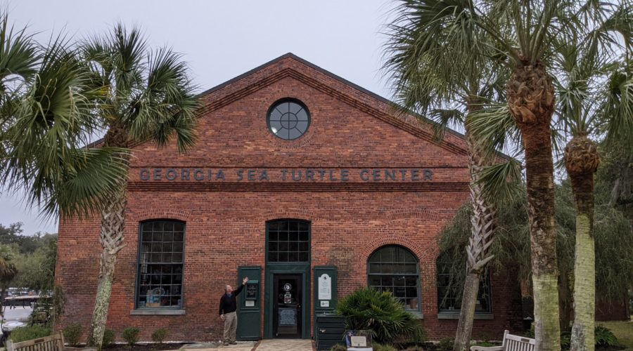 2021 quick trips – part 8: Jekyll Island’s sea turtle center