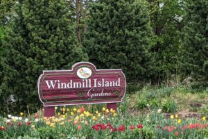 2021 quick trips – part 28: Windmill Island’s tulips, well loved street organ, and working windmill