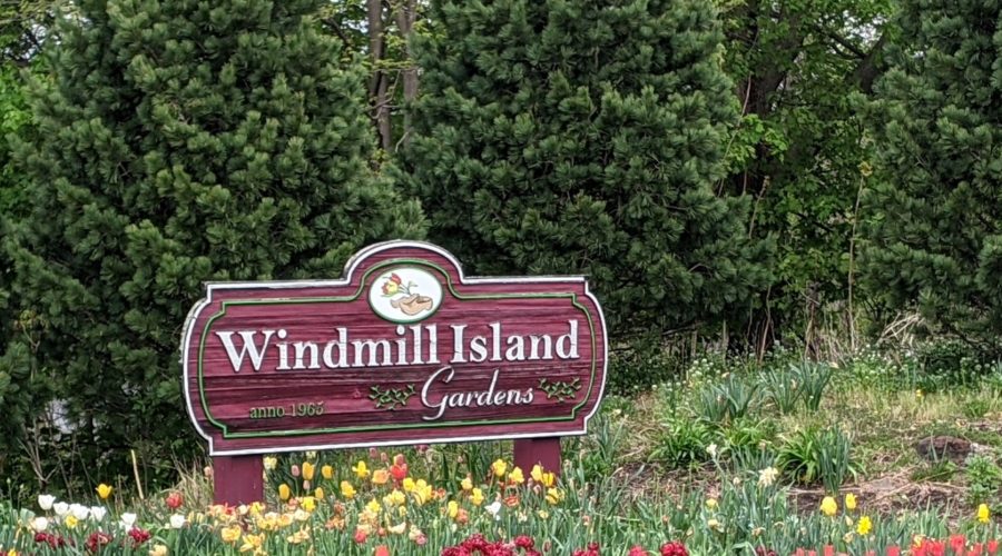 2021 quick trips – part 28: Windmill Island’s tulips, well loved street organ, and working windmill