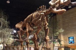 2018 Kentucky trip – part 4, Creation Museum in Cincinnati and some delicious sourdough bread