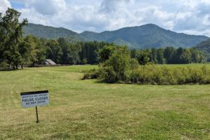 2023 southeast swing – part 2: early history of the Great Smokey Mountains in pictures
