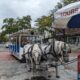2023 southeast swing – part 14, Wilmington: historic downtown by horse-drawn trolley