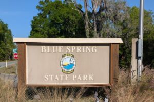 2025 southeast swing – part 1: manatees winter home at Blue Springs State Park