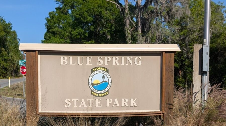 2025 southeast swing – part 1: manatees winter home at Blue Springs State Park