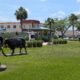 2025 southeast swing – part 5: a day trip to the town of Okeechobee in the middle of southern Florida