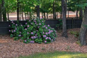 2025 in-between times – part 3: keeping busy while recuperating