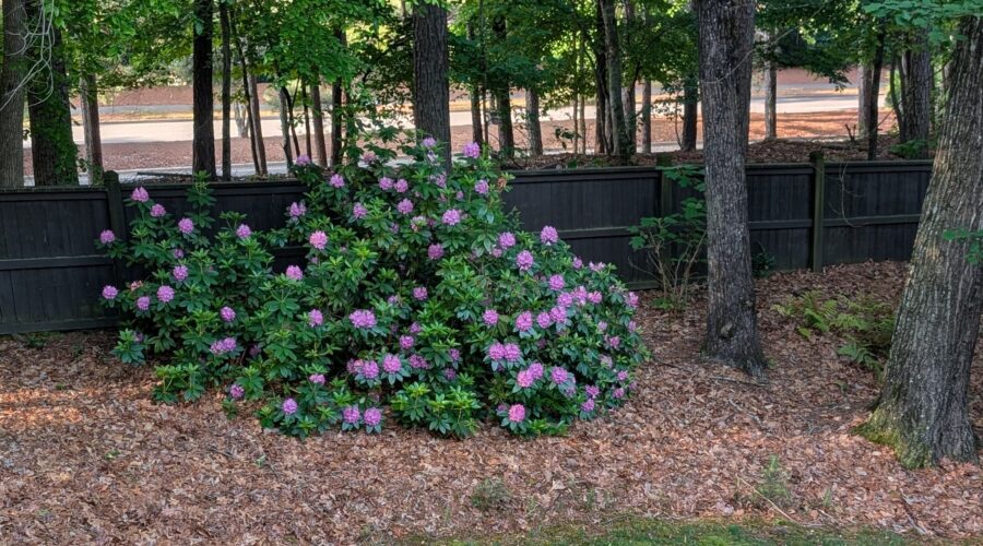 2025 in-between times – part 3: keeping busy while recuperating