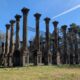 2026 quick trips – part 9: Windsor ruins on the Natchez Trace Parkway