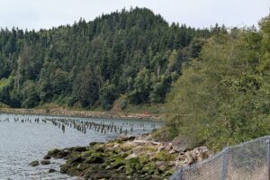 2026 Lewis & Clark trip – part 58: rough seas and the edge of the continent